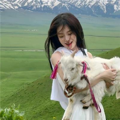 口碑剧情